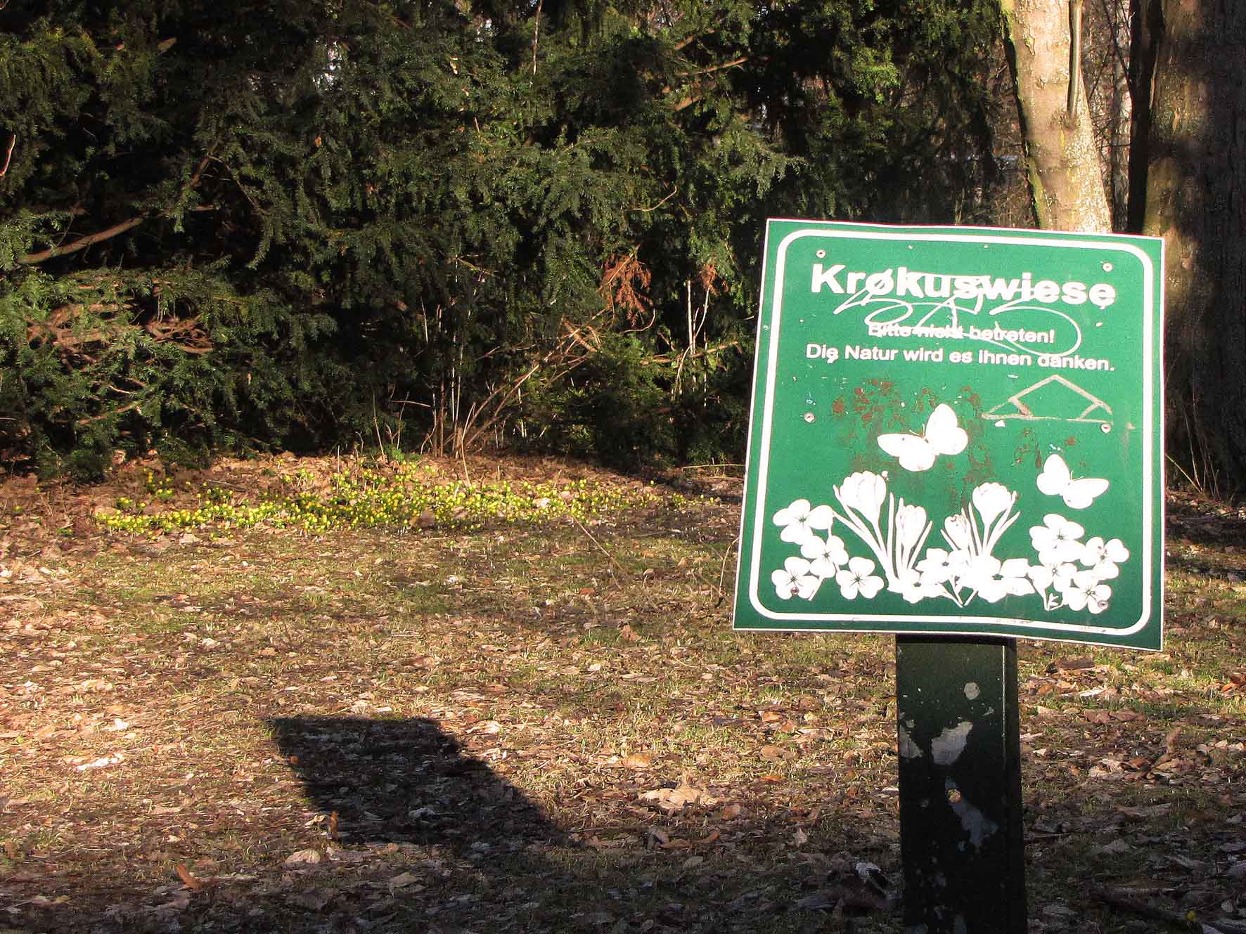 20170224_winterlinge4bl