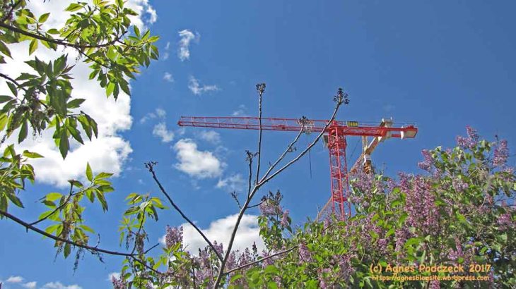 20170430_Groth_01_StartBG