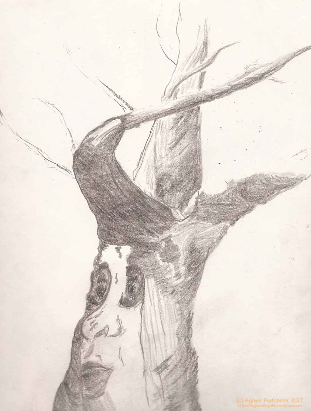 Was würde ich dafür geben&nbsp;…