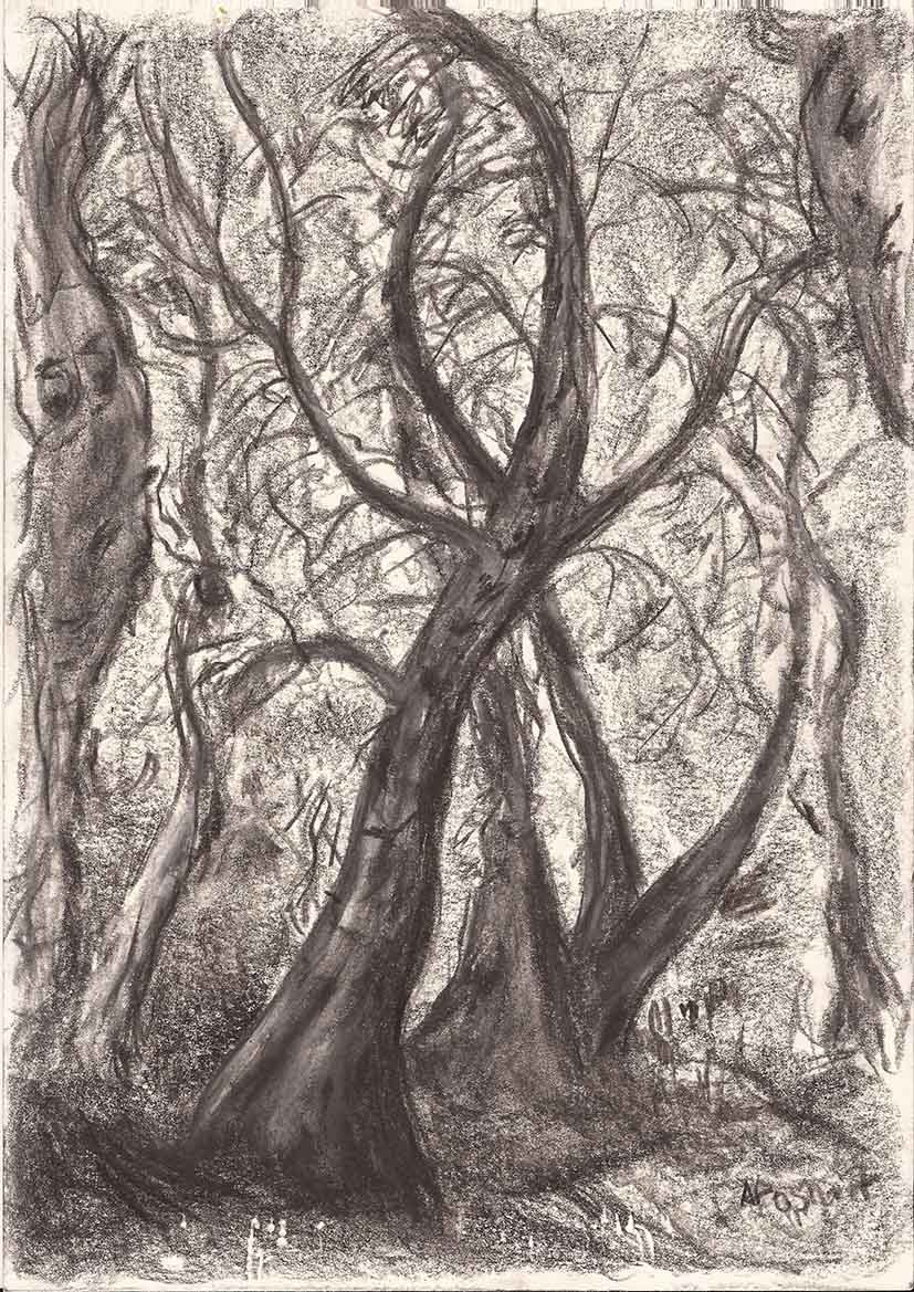 20170517_ZauberwaldBG