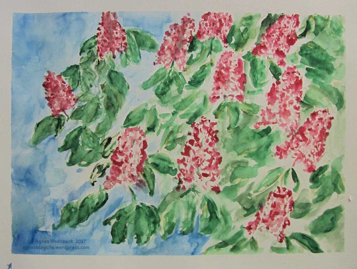 20170518_KastanienblueteBG