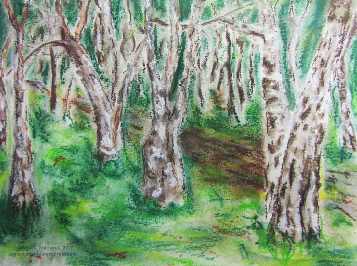 20170519_BirkenwaldBG