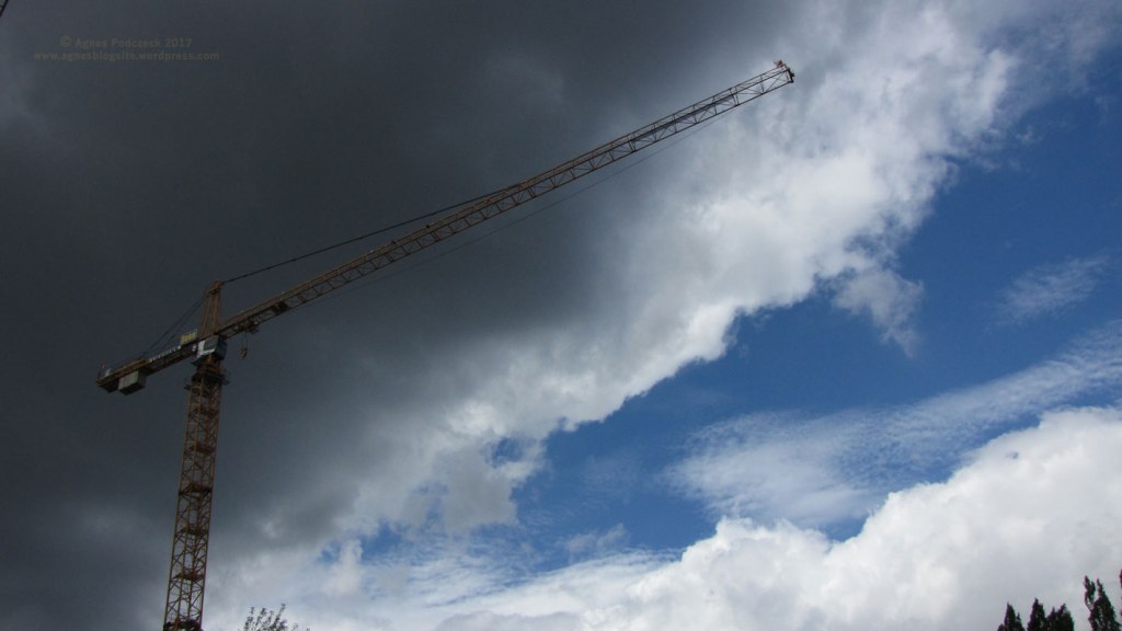 Groth statt Grün – Zeilenendes Fotoprojekt&nbsp;5