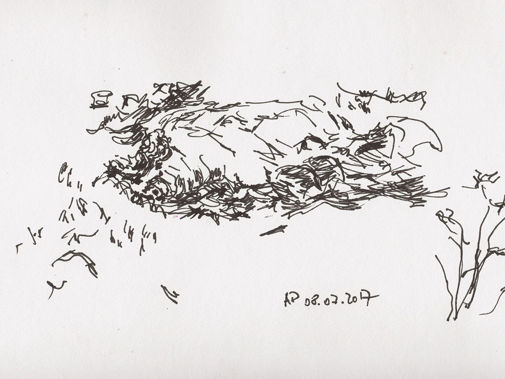 20170708_WollsauBGBG