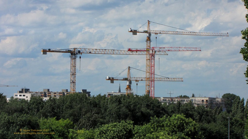 Groth statt Grün – Zeilenendes Fotoprojekt&nbsp;6