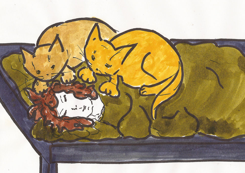 2017028_MorgenritualBG