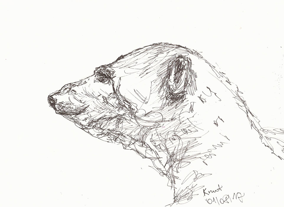 Knut, Eisbär, Naturkundemuseum