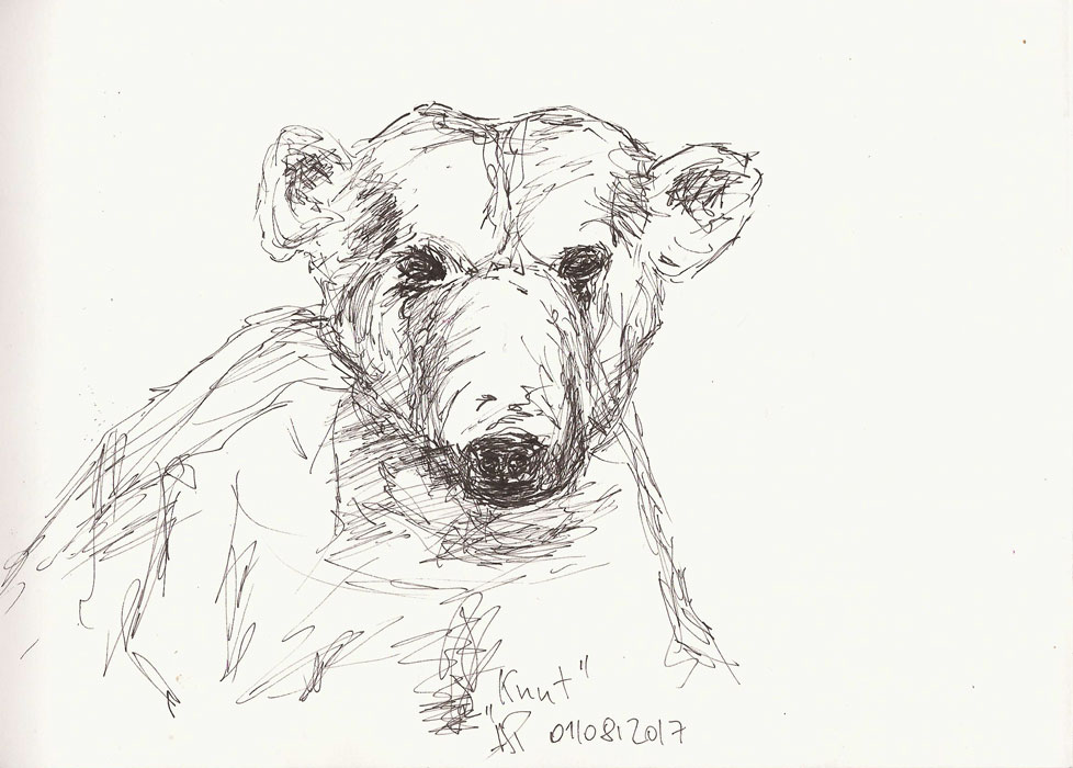 Eisbär, Knut, Naturkundemuseum Berlin