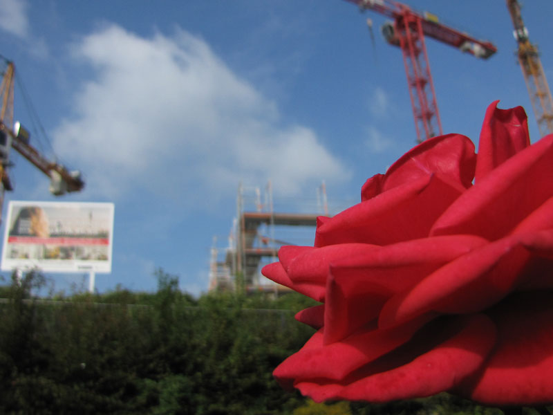 Groth statt Grün – Zeilenendes Fotoprojekt&nbsp;7