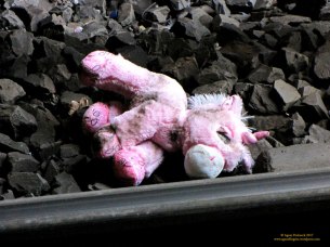 20170420_27Traumistaus