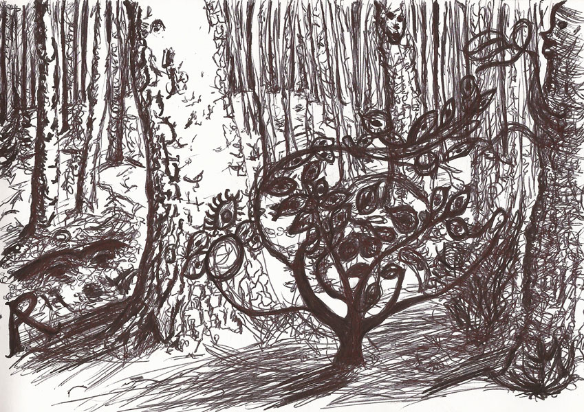 20170905_WunschbaumBG