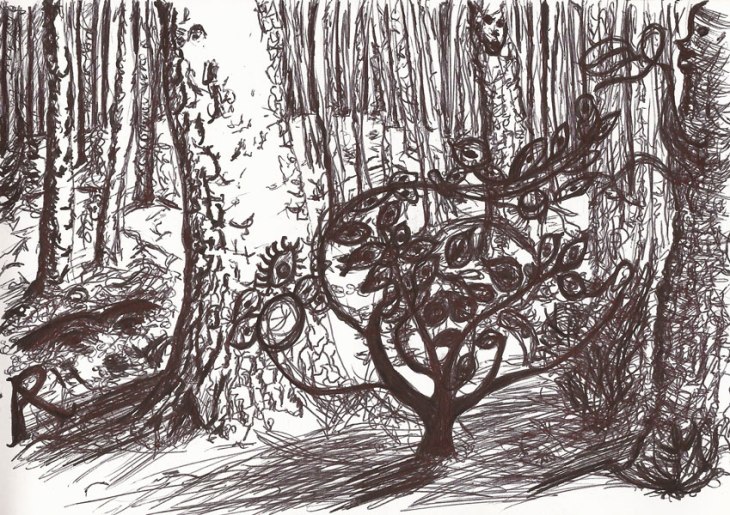 20170905_WunschbaumBG