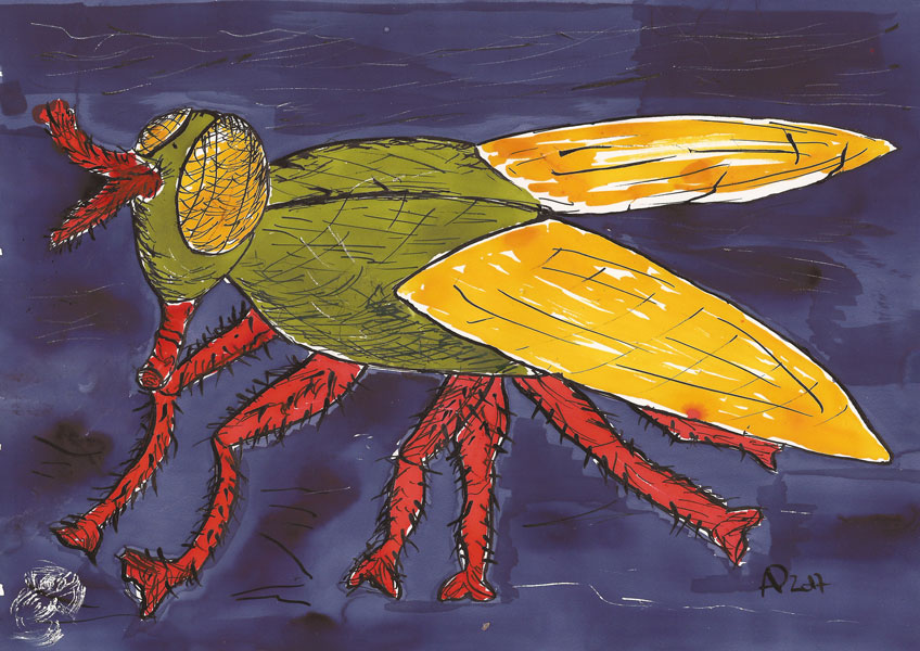 201701004_2063_fliege_bg