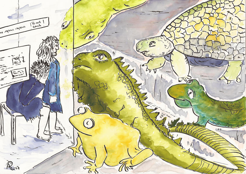 201701004_2063_zoo_bg