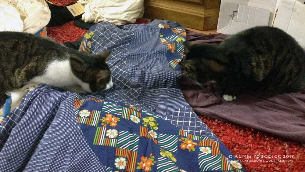 20180119_LiLottHippie