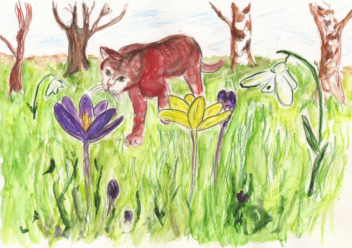 20180331_katzeFruehlingBG