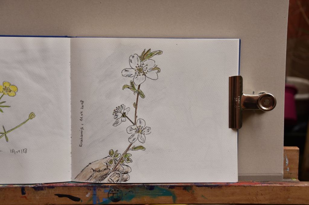 Ein kleiner Blick in mein Draußen-Skizzenbuch