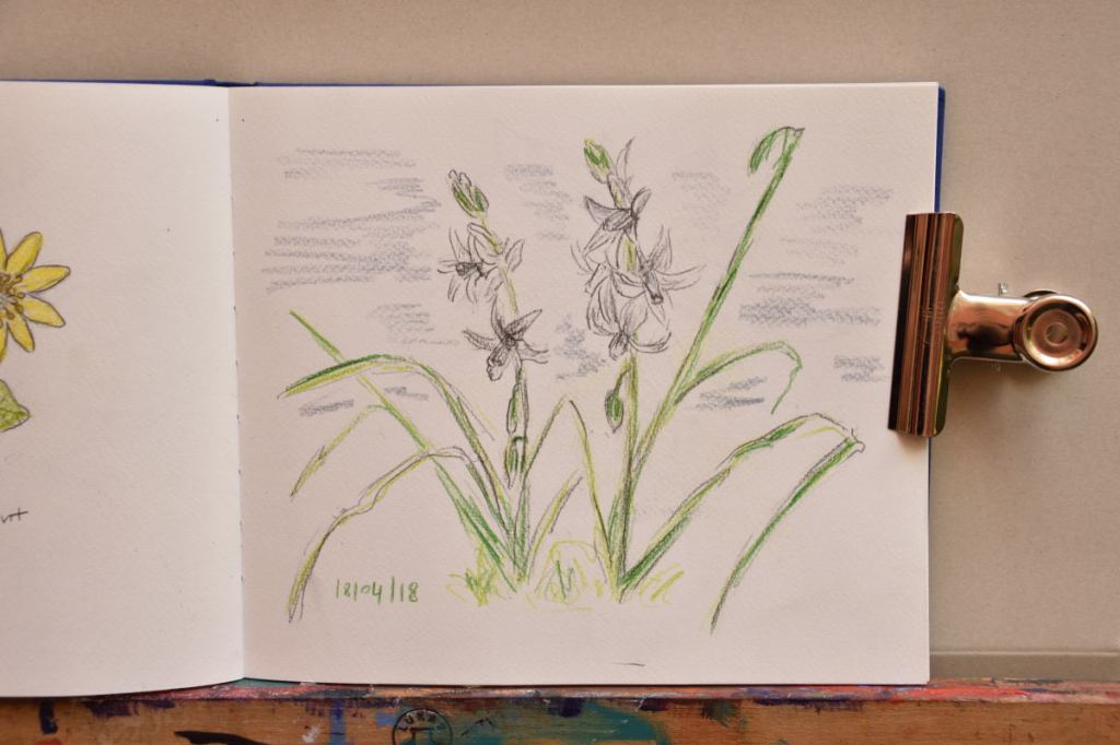 Ein kleiner Blick in mein Draußen-Skizzenbuch (2)