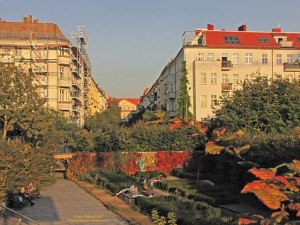 20170929_Senkgarten_85bg