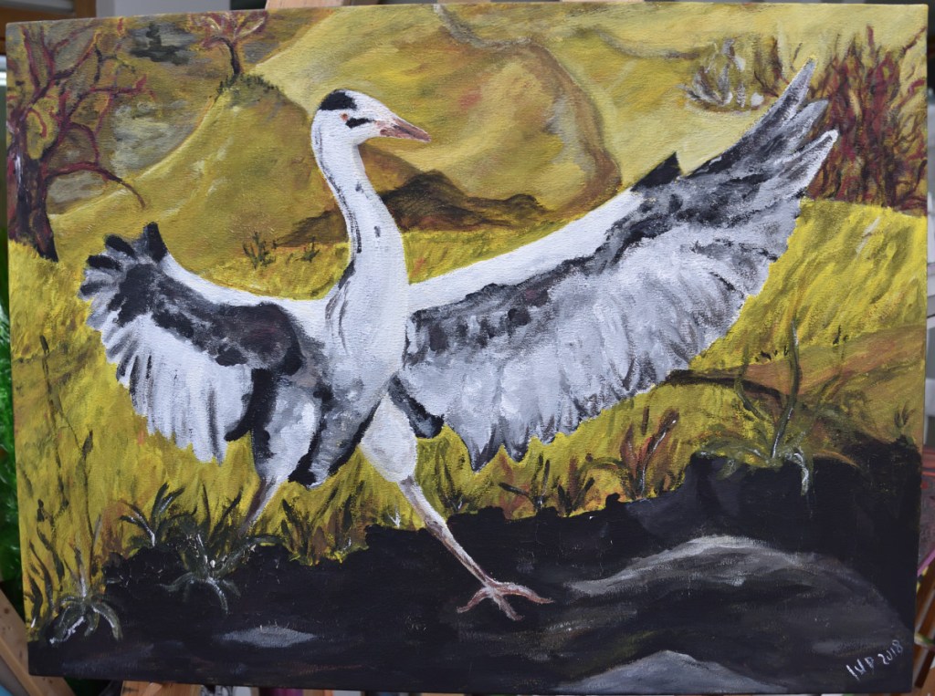 Landung eines Graureihers