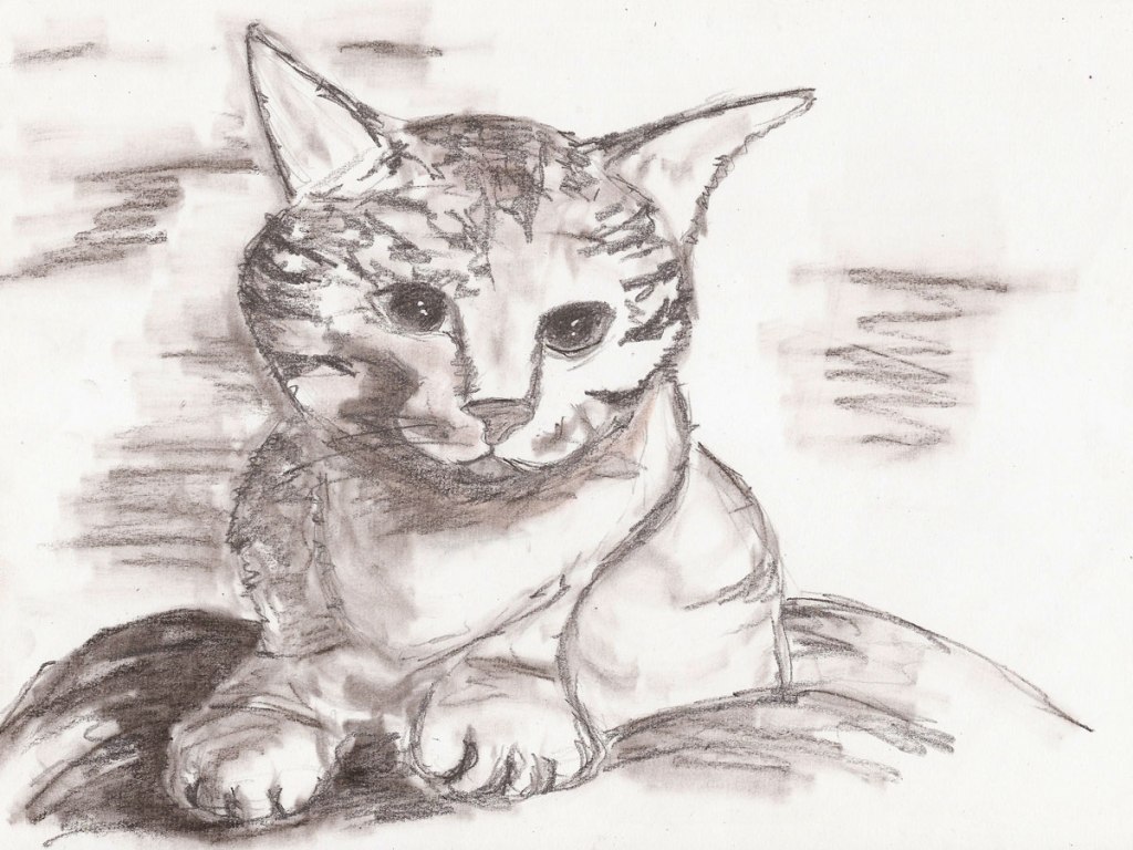 Alltag (1) – Bevor der Tag&nbsp;beginnt