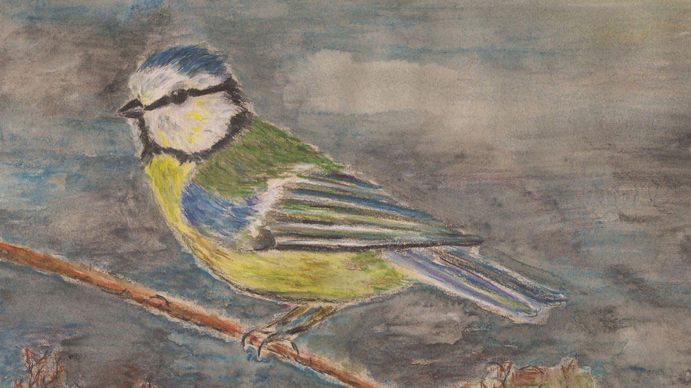 Blaumeise – Aquarellbuntstifte und&nbsp;Wasserpinsel