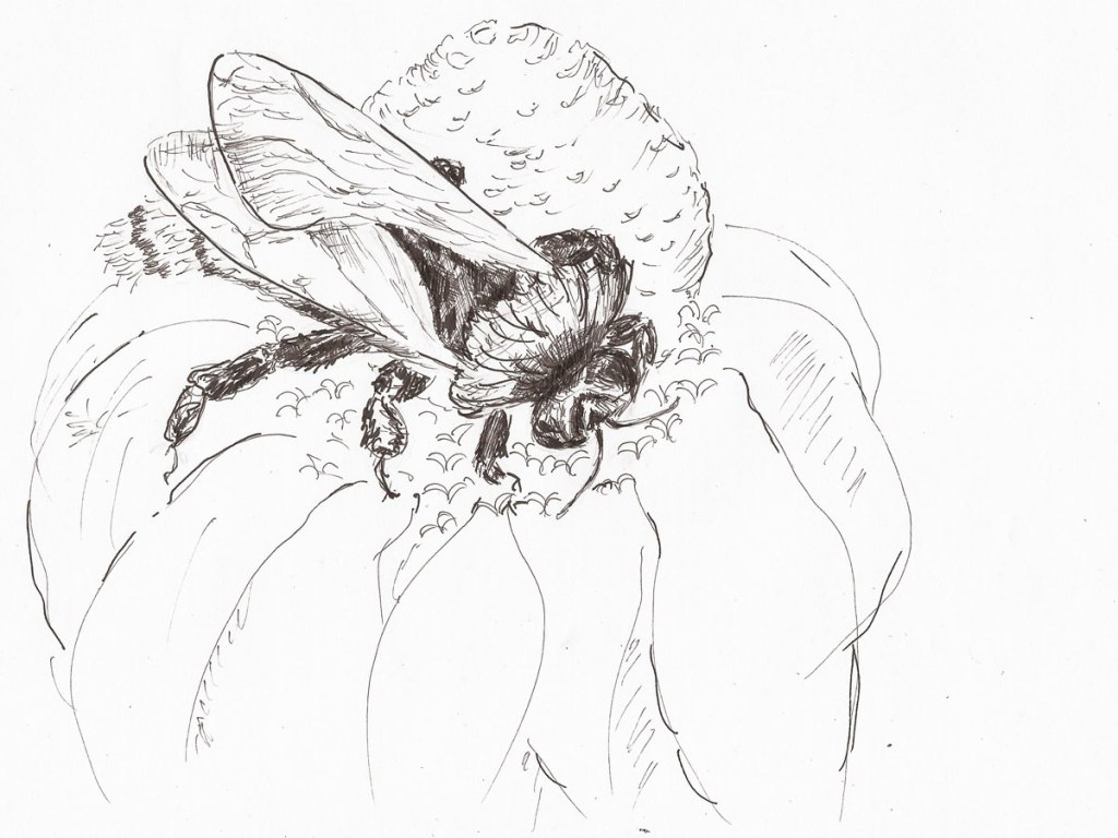 Unbekanntes Flugobjekt