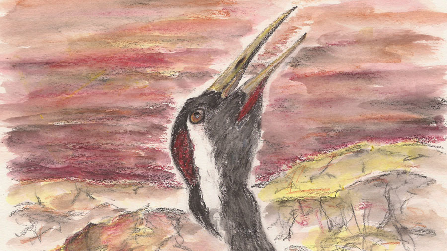 Das Lied des&nbsp;Kranichs