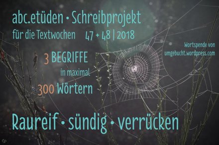 Flying supergirls 1 (abc.etüden&nbsp;47.48.18_2)