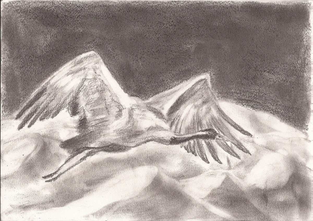 Nach Süden, Zeichnung auf A4Papier, Grafitstift, 12.12.2018