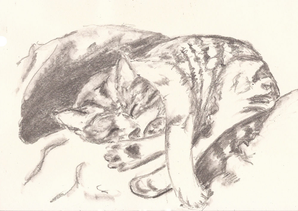 Schlafende Katze auf Kissen, Bleistiftskizze A5, Dezember 2018