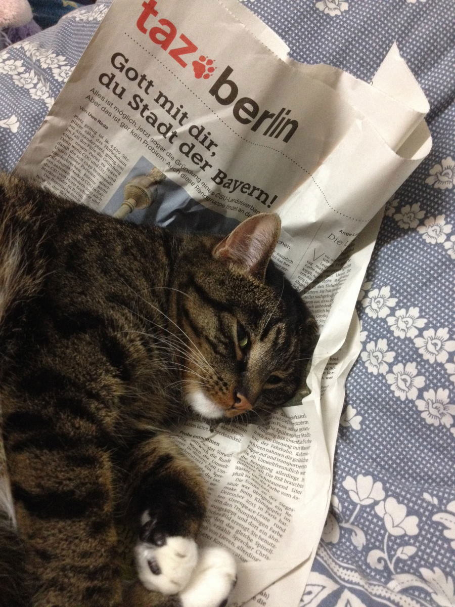 Alltag (3) – Tageszeitung aus&nbsp;Papier