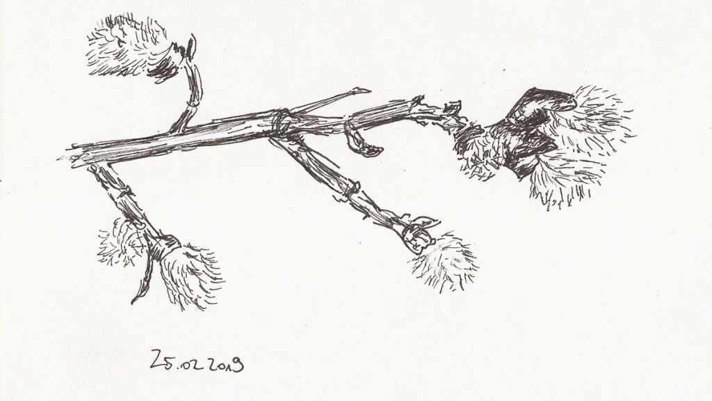 Draußen Zeichnen im&nbsp;Februar