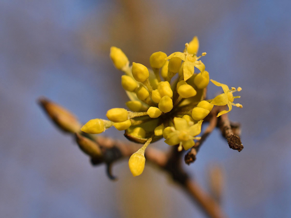 20190227_Februar_1_BG