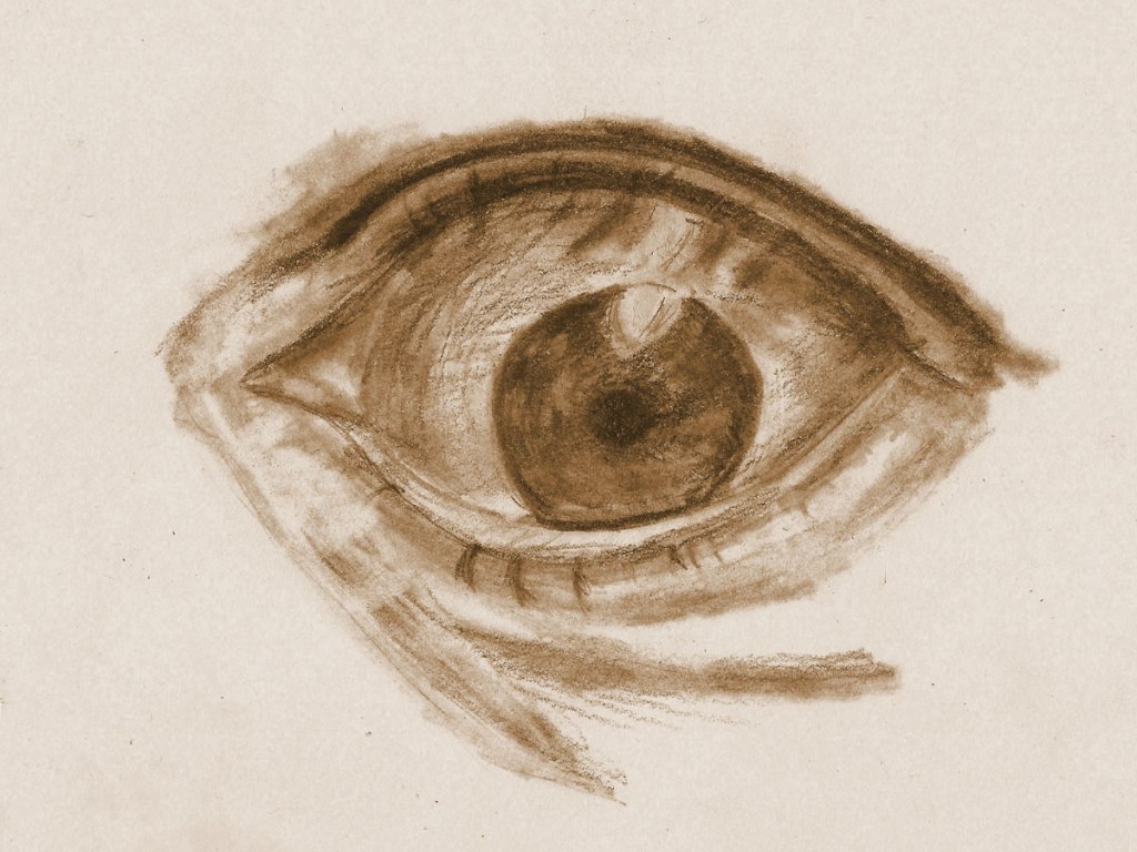 Detail – Auge