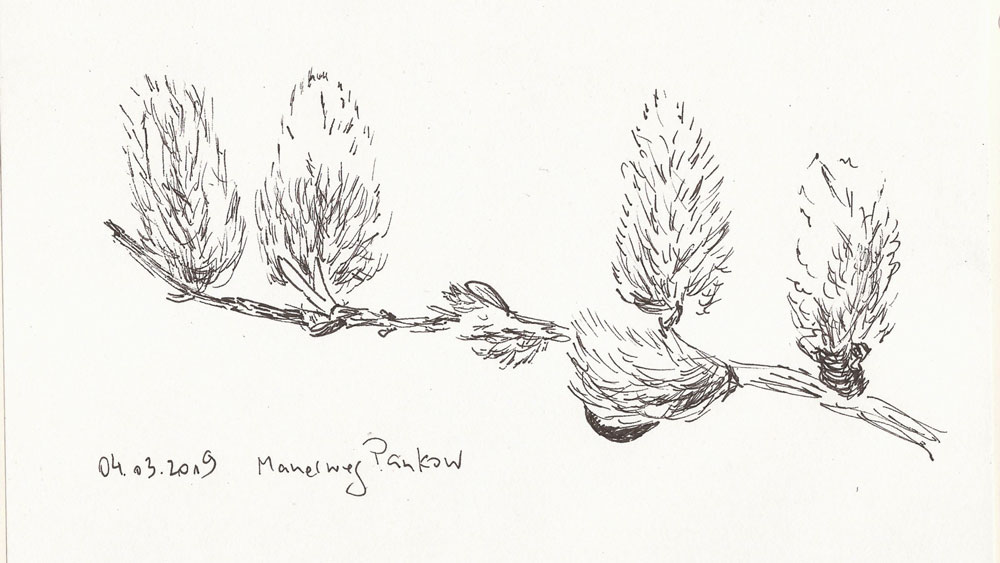 Gucken oder sehen. Wahrnehmungen im&nbsp;Alltag