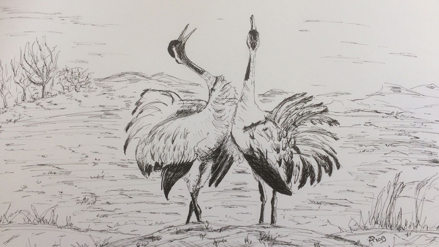1000 Kraniche. Zwei&nbsp;Tänzer