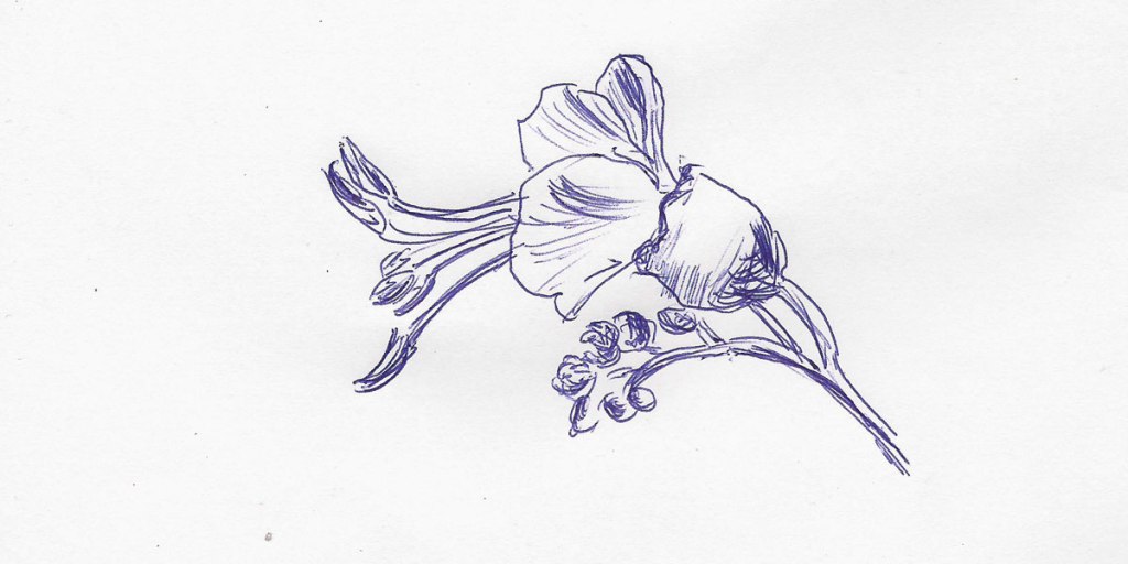 Kastanienzweig. Erste Blüten