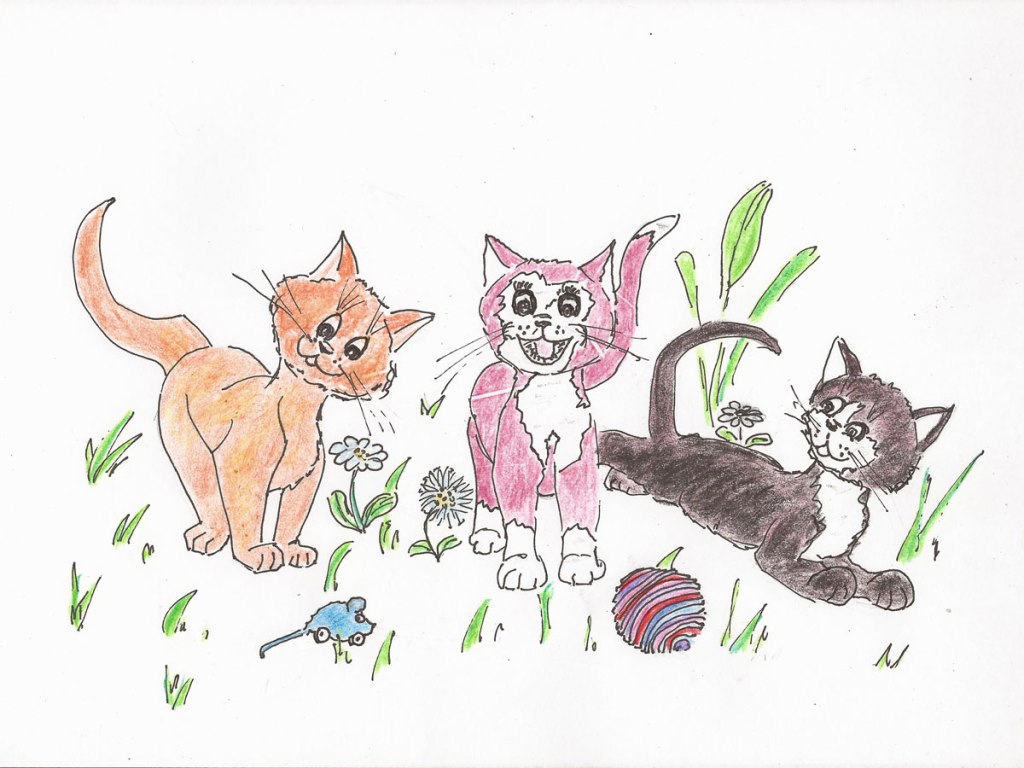 Kleine Kätzchen. Zeichnungen