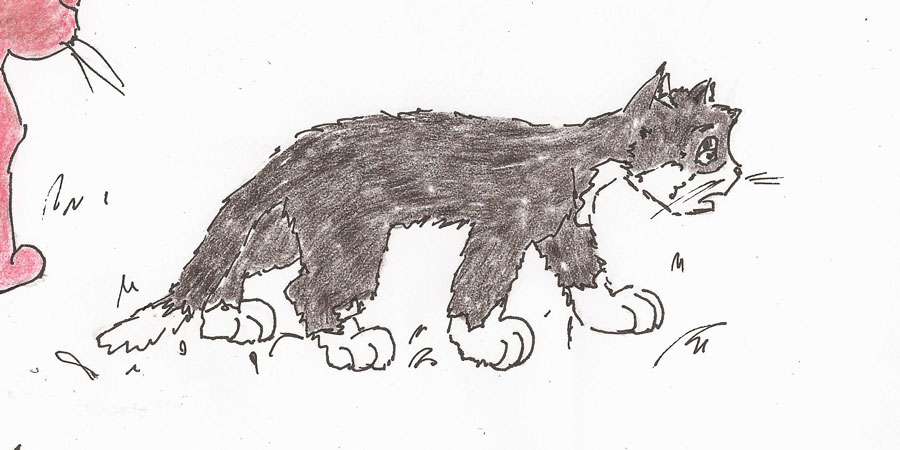 Katzenposen, Fineliner, Buntstifte, 14.03.2019