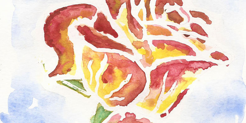 Rose, Aquarell-Miniatur