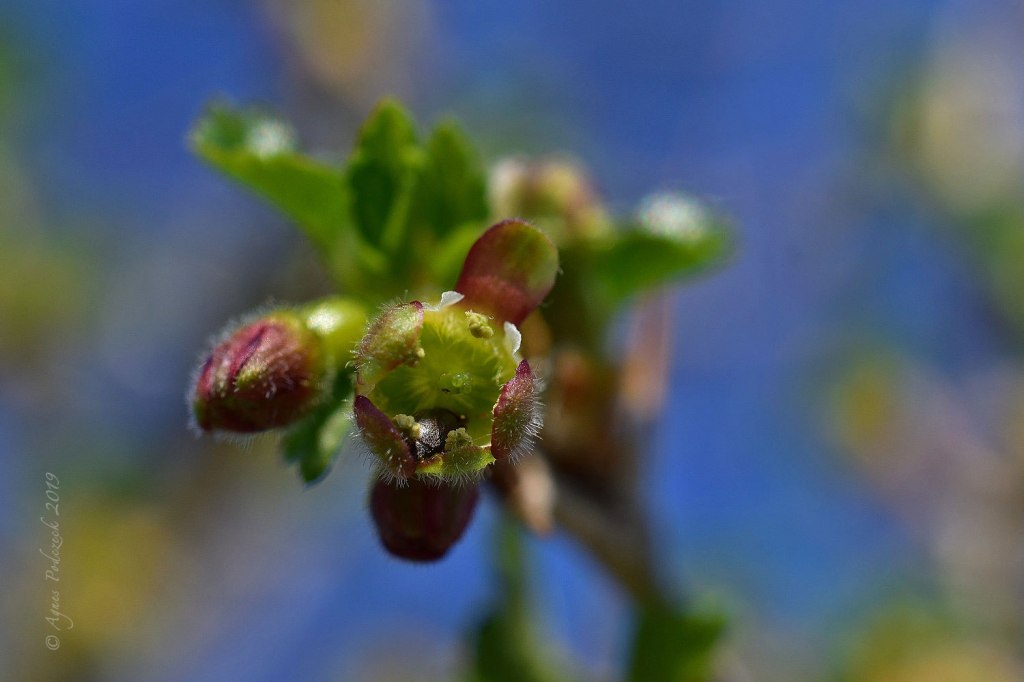 Von nahem betrachtet: In kulinarischer&nbsp;Vorfreude
