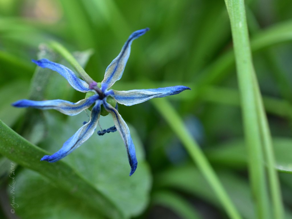 Von nahem betrachtet: Nach dem&nbsp;Tanz
