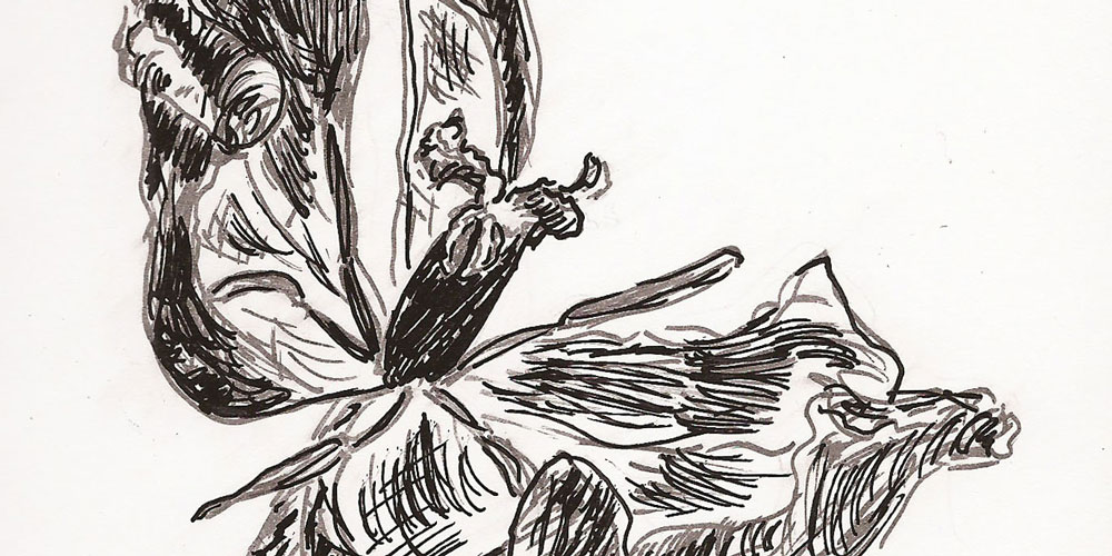 Gartenskizzen: Mohn und&nbsp;Tulpe