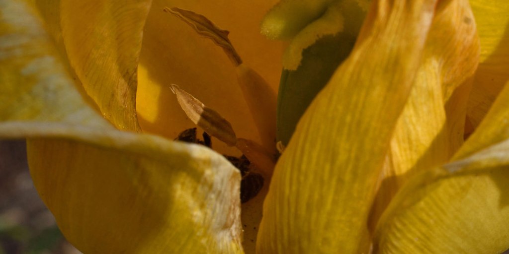 Was bleibt …&nbsp;(1)