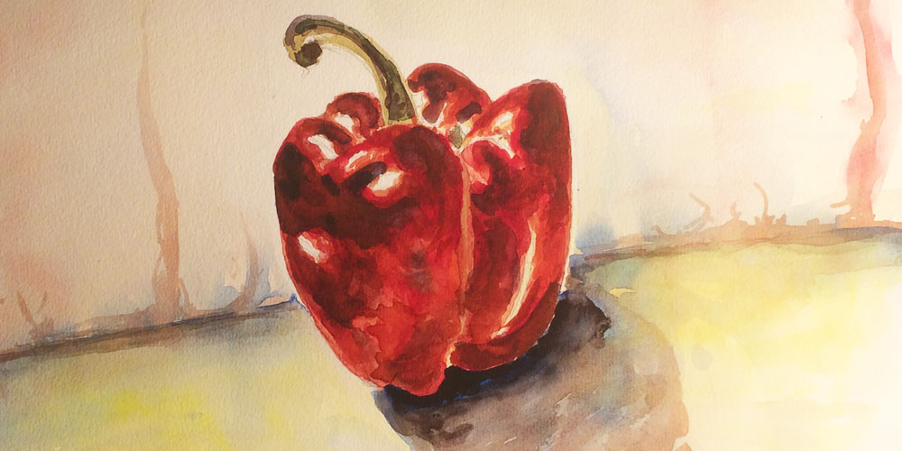 Aquarell und Zeichnung. Spot auf ein&nbsp;Alltagsgemüse