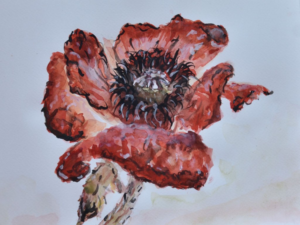 Aquarellskizzenbuch: Roter Mohn