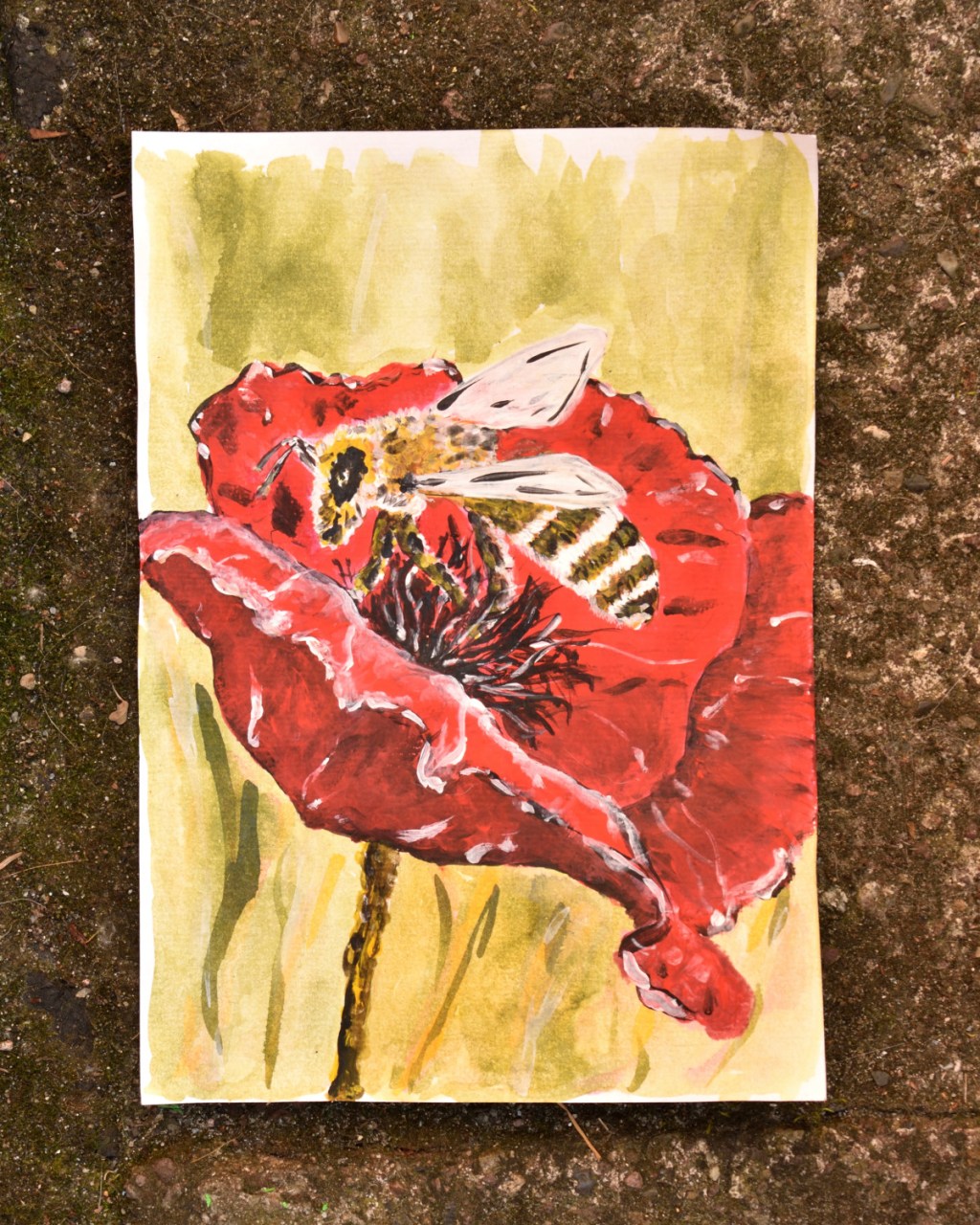 Insektensommer mit Mohn und Biene