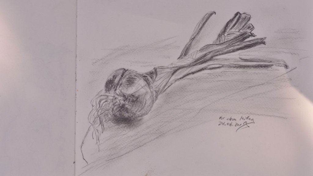 Eigene Ernte fürs Skizzenbuch