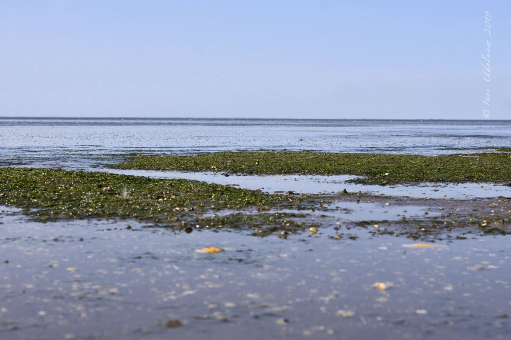Inselrückblick (13). Die Flut&nbsp;kommt